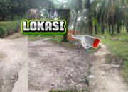 Tindak Tegas…,, Diduga Tumbik CS Tak Tersentuh Hukum Polres Labuhanbatu, Bebas Edarkan Narkoba Jenis Sabu…!!