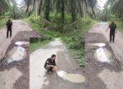 PT. Ayu Septa Perdana Diduga Tidak Bertanggung Jawab Atas Pekerjaan Pengupasan Jalan Lintas Labura-Parsoburan.