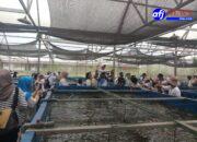 Pertanian Modern Terpadu DW FARM Di Kunjungi Anak Sekolah TK Untuk Eduwisata