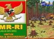 Labuhanbatu Utara Darurat Hutan : Aktivitas Pembalakan Liar Terstruktur Diduga Kuat Terjadi Ditengah Minimnya Pengawasan.