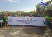 PT PLN Berkolaborasi  Bersama DPC HNSI Kota Medan Dan Relawan Wak Young Tanam Pohon Mangrove