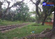 Sengketa Lahan PT Smart Tbk Padang Halaban dan Kelompok Tani KTPHS Diduga Berujung Intimidasi Karyawan.