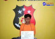 Polsek Panai Hilir Menangkap Tersangka Penyalahguna Narkoba