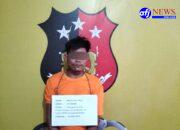 Polsek Panai Hilir Ungkap Kasus Peredaran Narkotika Jenis Ekstasi, 100 Butir Diamankan