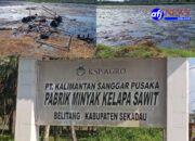 PT Kalimantan Sanggar Pusaka Diduga Langgar Amdal, Limbah Dibuang Lewat Satu Kolam