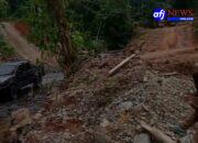 Luarbiasa Kehadiran GAKKUM LHK ke Hutan Hajoran Diduga Sudah Disetting Dengan Sutradara Mafia Loging