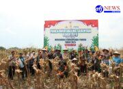 Polres Pelabuhan Belawan Gelar Panen Raya Jagung Serentak Dukung Program Ketahanan Pangan Presiden Prabowo Subianto