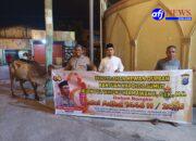Polres Pelabuhan Belawan Serahkan Sapi Qurban dari Kapolda Sumut kepada BKM Masjid Jami’ Belawan