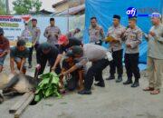 Polres Pelabuhan Belawan dan Polsek Jajaran Sembelih 12 Ekor Sapi dan 4 Kambing di Hari Raya Idul Adha 1446 H