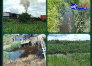 Tragedi Kapuas: Racun Sawit, Jeritan Warga, dan Diamnya Penguasa