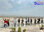 PT KIM Laksanakan Penanaman Pohon Mangrove Di Kecamatan Pantai Labu Deli Serdang