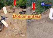 LMR RI Komda Labura Desak Satgas Garuda Sita dan Tangkap Mafia Kayu Pelaku Ilegal Loging di Hutan Hajoran.