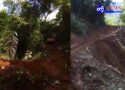 LMR RI Labura Desak Penindakan Ilegal Loging di Hutan Hajoran : Kerugian Negara Akibat Penggelapan Pajak Mencapai Milyaran Rupiah.
