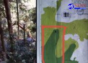 Membangun Jalan Koridor Di Hutan Lindung Hajoran : LMR RI Komda Labura, Perlu Pertimbangan Hukum dan Lingkungan.