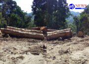 “Mafia Kayu” Berjasa Bangun Akses Jalan di Hutan Lindung Hajoran, LMR RI Desak Bupati dan DPRD Labura Tentukan Status Jalan.