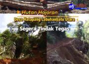 Albert Hutagaol: Kepada Bupati Labuhanbatu Utara Dan Instansi Terkait Untuk Segera Ditindak Tegas Dalam Kasus Pengerusakan Hutan Hajoran.