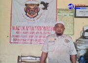 Unit Pidsus Satreskrim Polres Labuhan Batu Pilih Bungkam Soal Dugaan Ilegal Loging di Hutan Lindung Hajoran.