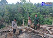 Babinsa Koramil 05/BD Kodim 0209/LB Cek Titik Hot Spot di Desa Rombisan