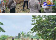 Pengawasan Program Ketahanan Pangan, Tim Polda Banten Tinjau Lahan Jagung di Desa Pasir Jaya