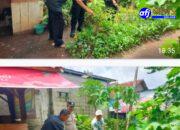 Bhabinkamtibmas Polsek Balaraja Polresta Tangerang Giat Pemanfaatan Lahan Sektor Ketahanan Pangan (Sayuran Cabe ) di Desa Tobat 51