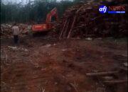 Diduga Abaikan Aspek K3 : Manager PTPN IV Kebun Marsel Biarkan Ratusan Ton Potongan Kayu Karet Bekas Replanting Dekat Area Perumahan.