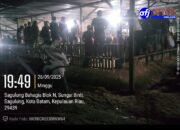 Lokasi Judi Sabung Ayam di Sagulung Makin Bebas Beroperasi.