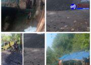 Tambang Batubara Ilegal di Kawasan Perum Perhutani Diduga Difasilitasi Pihak PLN