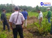 Polres Asahan Tangani Kasus Kekerasan Bersama di Lahan Perkebunan Desa Mekar Tanjung