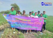 Babinsa Mau Dampingi Padat Karya Tunai Pembersihan Irigasi