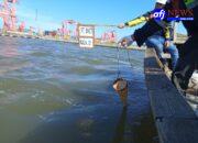 BNCT dan Surveyor Indonesia Lakukan Pengujian Air Laut untuk Pastikan Operasional Ramah Lingkungan