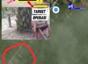 Ancaman Narkotika di Pesisir Labuhan Batu : Bisnis Haram Subur, ‘Oneng’ Diduga Dalang Yang Kebal Hukum.