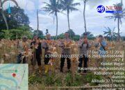 Polsek Rangkas bitung Polres Lebak Panen Raya Jagung Kuartal III Dukung Swasembada Pangan 2025