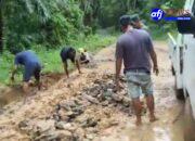 Aksi Tanam Pohon Pisang Dijalan, Warga Tagih Janji Gubernur.