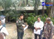 Beriman Panjaitan, SH.MH Mendampingi Tuimin “Mertua Tergugat” Menantu Dalam Agenda Sidang Pemeriksaan Setempat