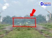 Berlabel Cuci Limbah, PT Torganda Kebun Tahuan Ganda, Diduga Jual Minyak Kotor ke Vendor Ilegal.