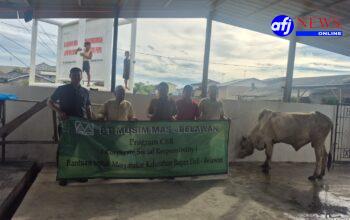 Sambut Idul Adha 1447 H, PT Musim Mas Belawan Salurkan 2 Ekor Sapi di Kelurahan Sekitar Perusahaan
