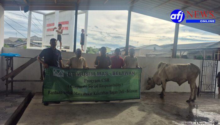 Sambut Idul Adha 1447 H, PT Musim Mas Belawan Salurkan 2 Ekor Sapi di Kelurahan Sekitar Perusahaan