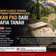 Camat Kampung Rakyat dan Kades Tanjung Mulia Diminta Tertibkan Perkebunan Ilegal, Selamatkan PAD dari Gurita Mafia Tanah