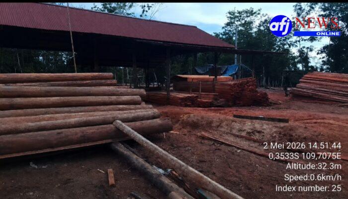 Warga Soroti Lemahnya Penegakan Hukum Kehutanan di Kalimantan Barat “Masa Negara Kalah dengan Seorang Pembalak Hutan?”