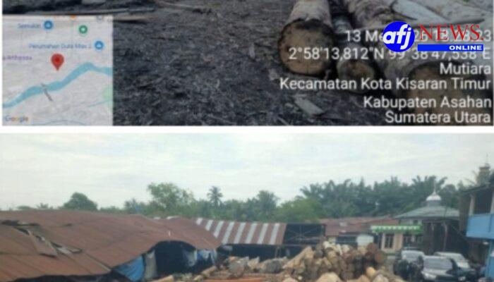 Menelusuri Jejak Hitam ‘Kayu Haram’ Labura : Mengapa Ribuan Kayu Log Tanpa Legalitas Bisa Lolos ke Industri Asahan?