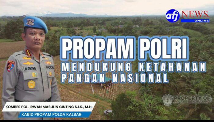 Bidpropam Polda Kalbar bersama Polres Bengkayang Panen Raya Jagung, Polri dan Masyarakat Perkuat Swasembada Pangan Nasional