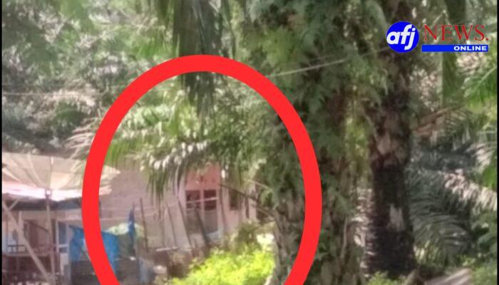 Dugaan Ekspansi Bandar Sabu di Dekat PKS PT Marbaujaya, Warga Desak Polsek NA IX-X Tangkap Pelaku