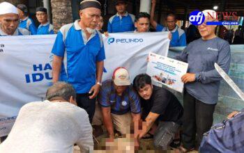 Pelindo Regional 1 Serahkan Hewan Qurban kepada Masjid Sekitar Pelabuhan