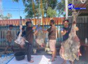 PT Prima Indonesia Logistik Sembelih 4 Ekor Hewan Kurban Di Hari Raya Idul Adha 1447 H