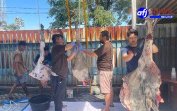 PT Prima Indonesia Logistik Sembelih 4 Ekor Hewan Kurban Di Hari Raya Idul Adha 1447 H