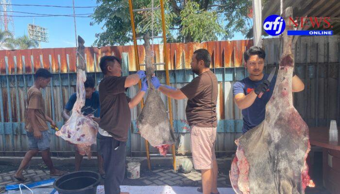 PT Prima Indonesia Logistik Sembelih 4 Ekor Hewan Kurban Di Hari Raya Idul Adha 1447 H