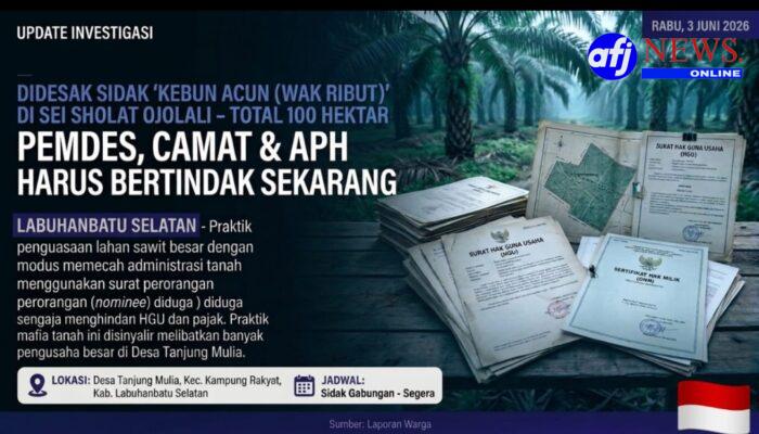 Diduga Tak Berizin dan Tabrak Aturan, Pemdes Tanjung Mulia, Camat Kampung Rakyat, dan APH Didesak Sidak Perkebunan ‘Acun/Wak Ribut’ di Sei Sholat Ojolali