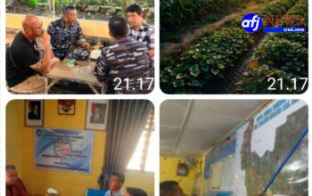 Kodaeral I Belawan Klarifikasi Soal Pemberitaan Dimedia Sosial Terkait Kegiatan pemanfaatan Lahan Di Dusun Limau Manis