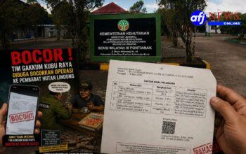 Jangan Ada Main Mata dengan Mafia Kayu, Dugaan Kebocoran Operasi SPORC Harus Dibongkar.
