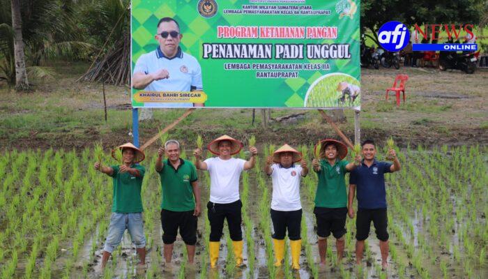 Dukung Ketahanan Pangan Nasional, Lapas Rantauprapat Perkuat Perawatan Lahan Sawah Warga Binaan